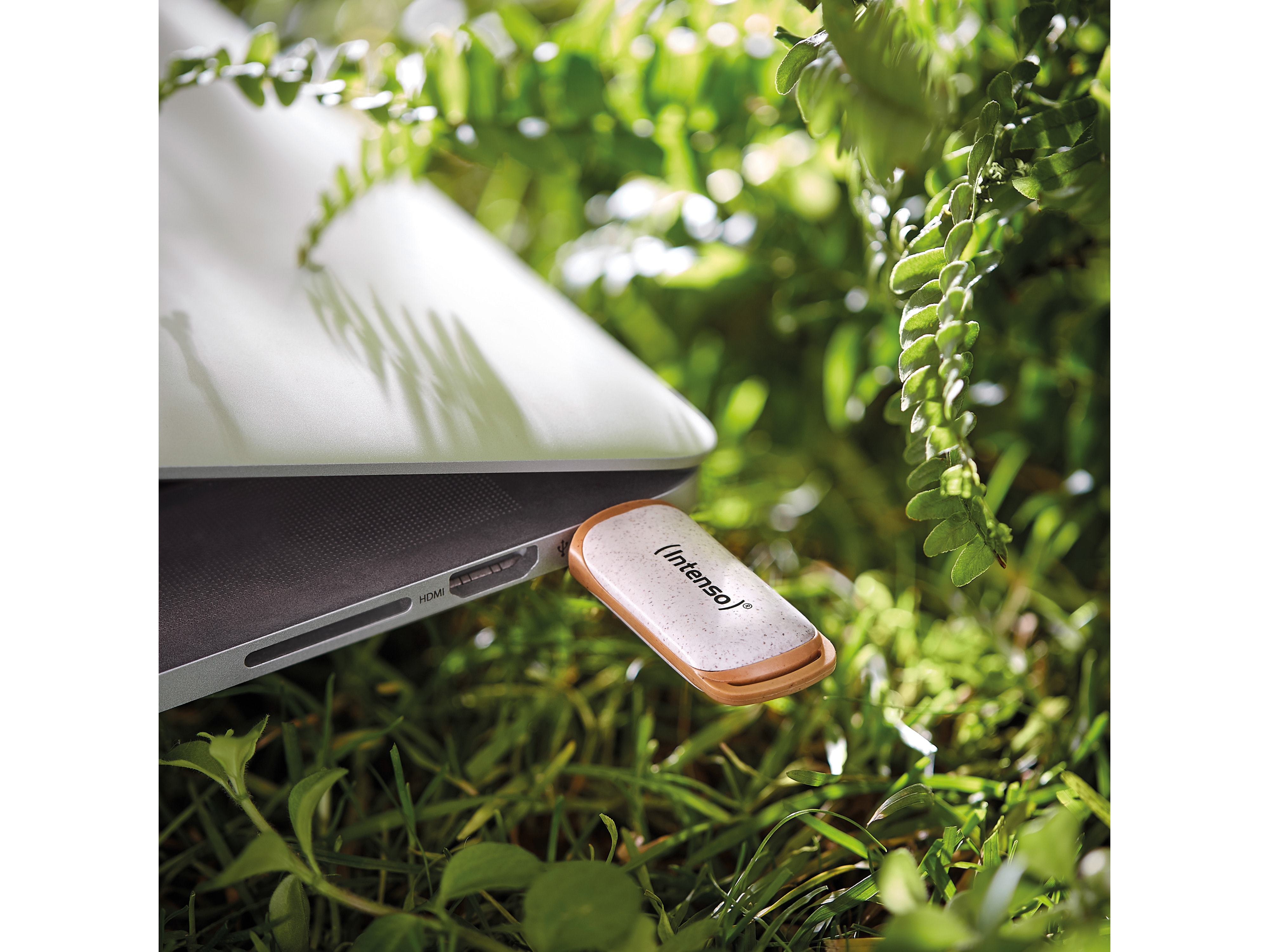 INTENSO USB-Stick Green Line 3540490 USB 3.2 64GB INTENSO USB 3.2-Stick INTENSO Green Line, 64 GB, beige/braun