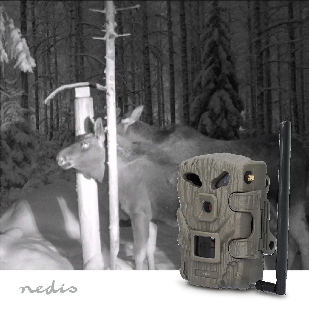 NEDIS Wildkamera WCAM460GN, 1080p@30fps, 30,0 MP, 4G, IP66, Black No-Glow IR, Nachtsicht, Bewegungssensor NEDIS Wildkamera WCAM460GN, 1080p@30fps, 30,0 MP, 4G, IP66, Black No-Glow IR, Nachtsicht, Bewegungssensor
