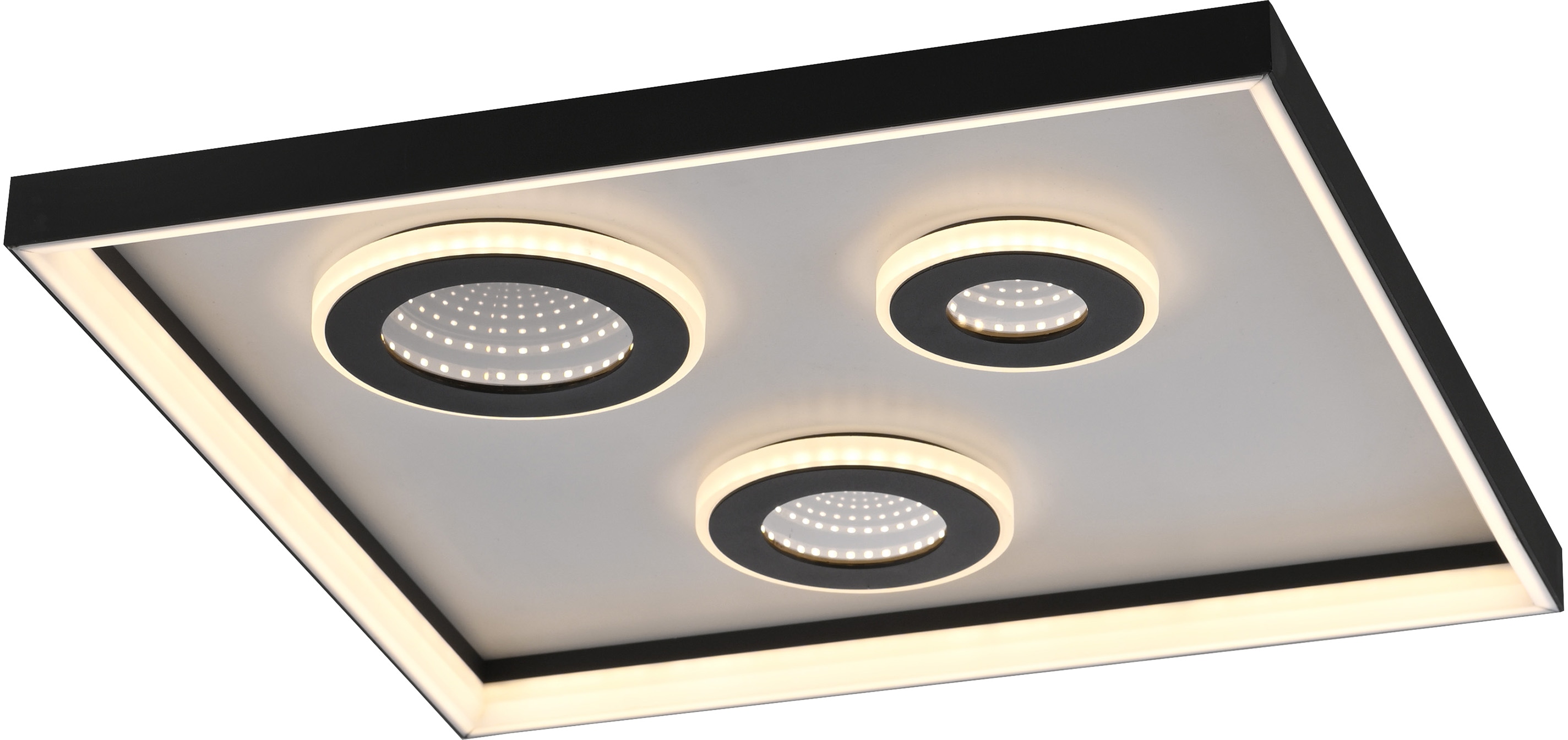 PAUL NEUHAUS LED-Deckenleuchte 6856-18 schwarz, 32 W, 4000 lm, CCT, Fernbedienung PAUL NEUHAUS LED-Deckenleuchte 6856-18 schwarz, 32 W, 4000 lm, CCT, Fernbedienung