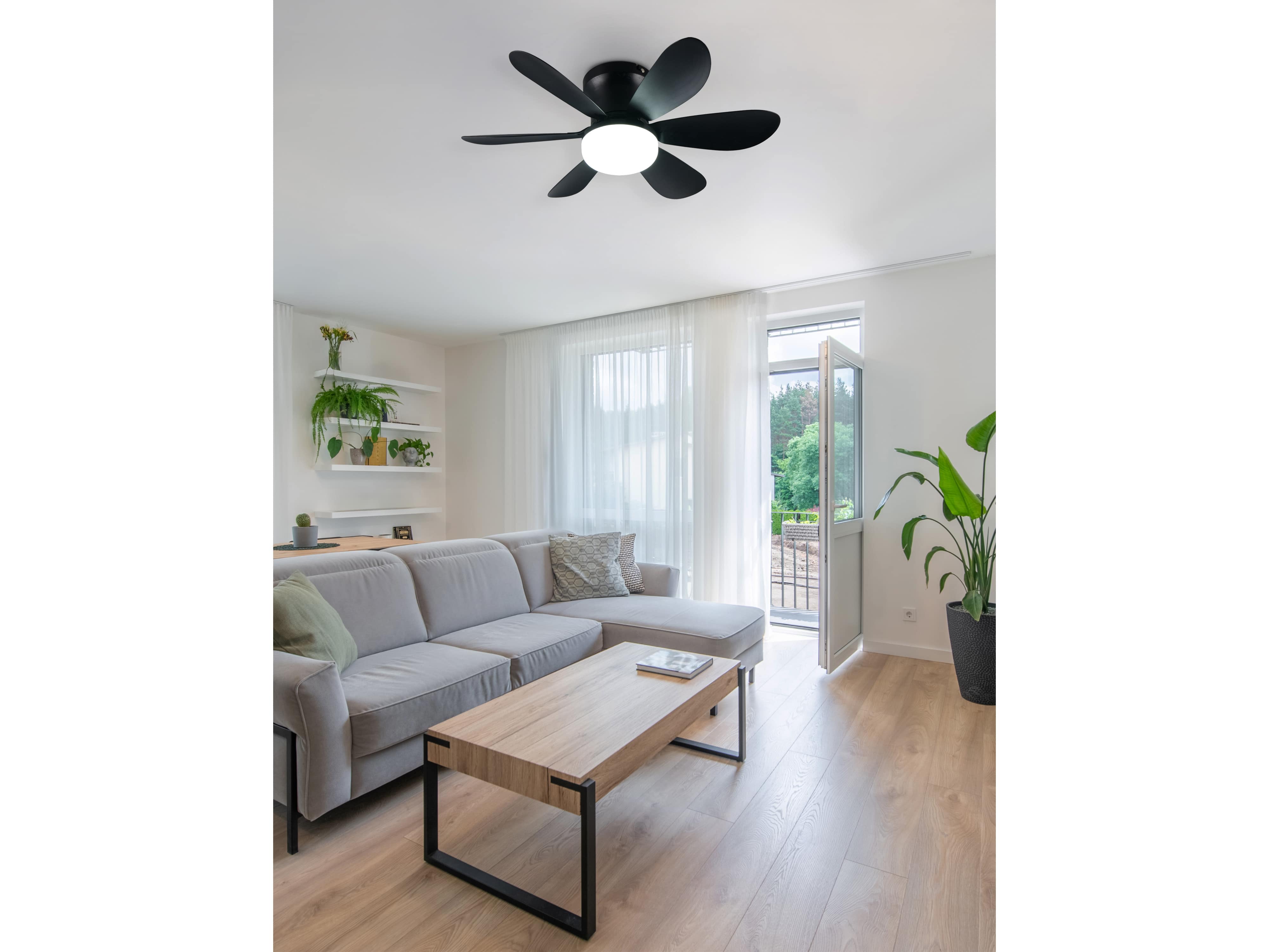 REALITY LED-Deckenleuchte mit Ventilator Lund R67462132, 20W, 2700... 6500K, 850lm, CCT, IP20, schwarz REALITY LED-Deckenleuchte mit Ventilator Lund R67462132, 20W, 2700... 6500K, 850lm, CCT, IP20, schwarz