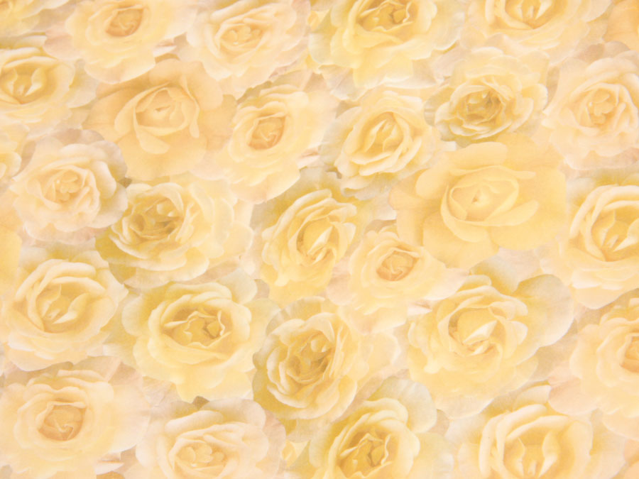 HEYDA Transparentpapier 20-4879450, Rosen creme Transparentpapier HEYDA 20-4879450, Rosen creme