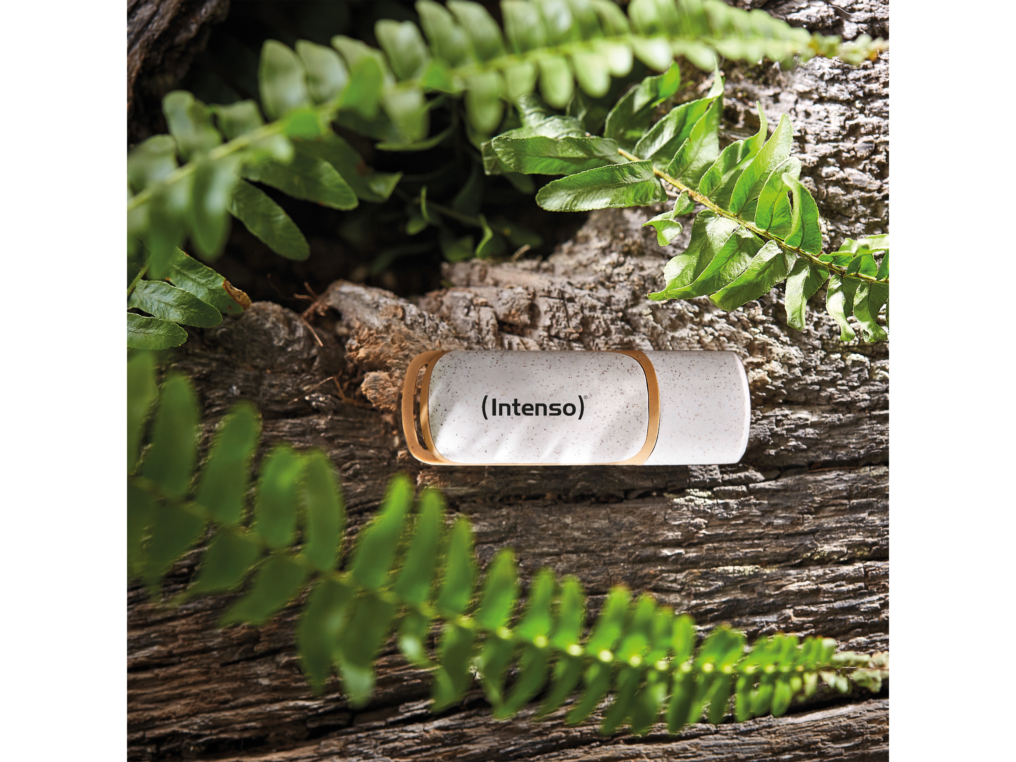 INTENSO USB 3.2-Stick INTENSO Green Line, 64 GB, beige/braun