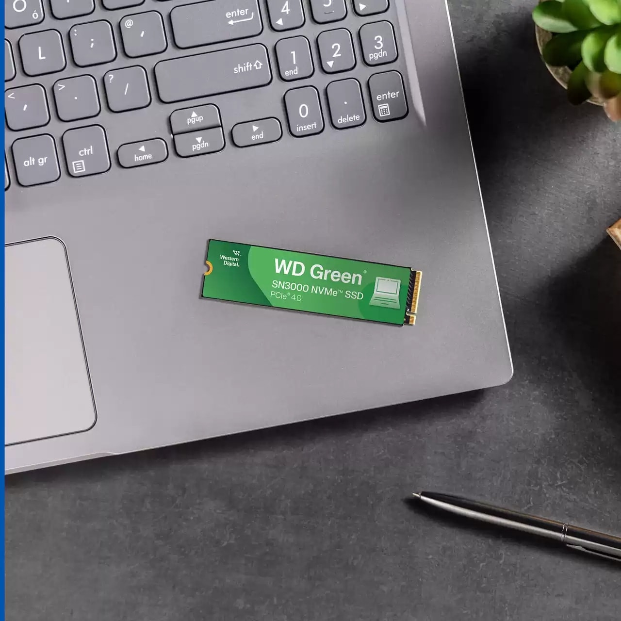 WESTERN DIGITAL M.2 SSD Green SN3000 500GB WD M.2 SSD Green SN3000 500GB