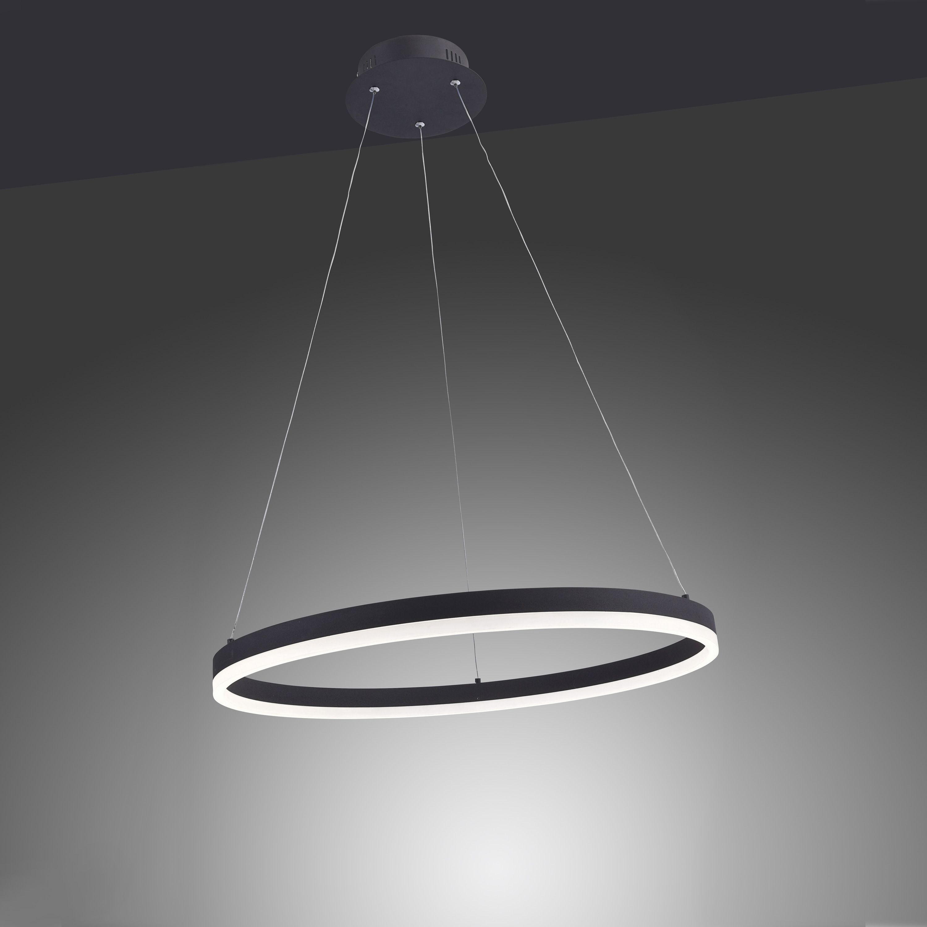 PAUL NEUHAUS LED-Pendelleuchte 2382-13 anthrazit, 38,5 W, 5250 lm, 3000 K PAUL NEUHAUS LED-Pendelleuchte 2382-13 anthrazit, 38,5 W, 5250 lm, 3000 K