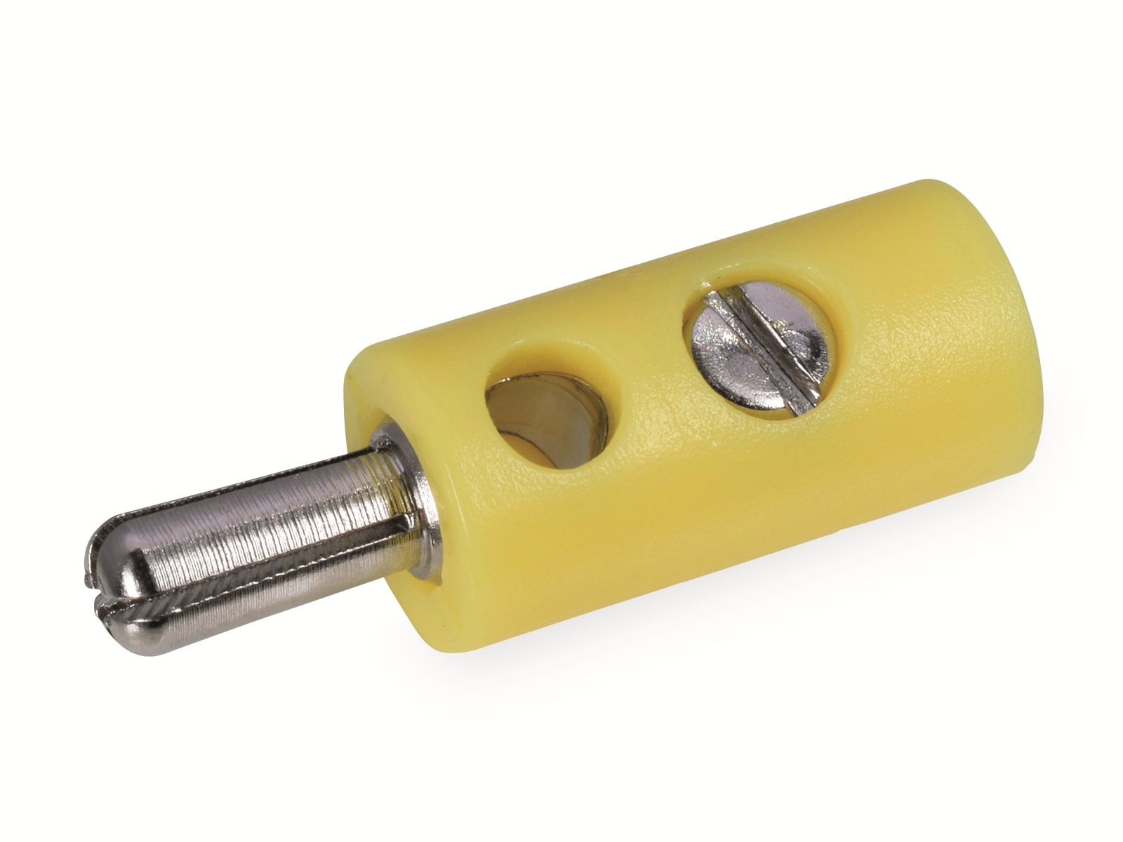 Zwergstecker, gelb Zwergstecker, gelb