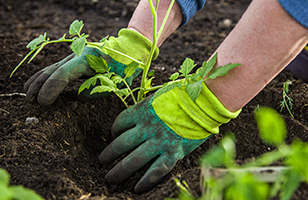 Gartenhandschuhe Gartenhandschuhe