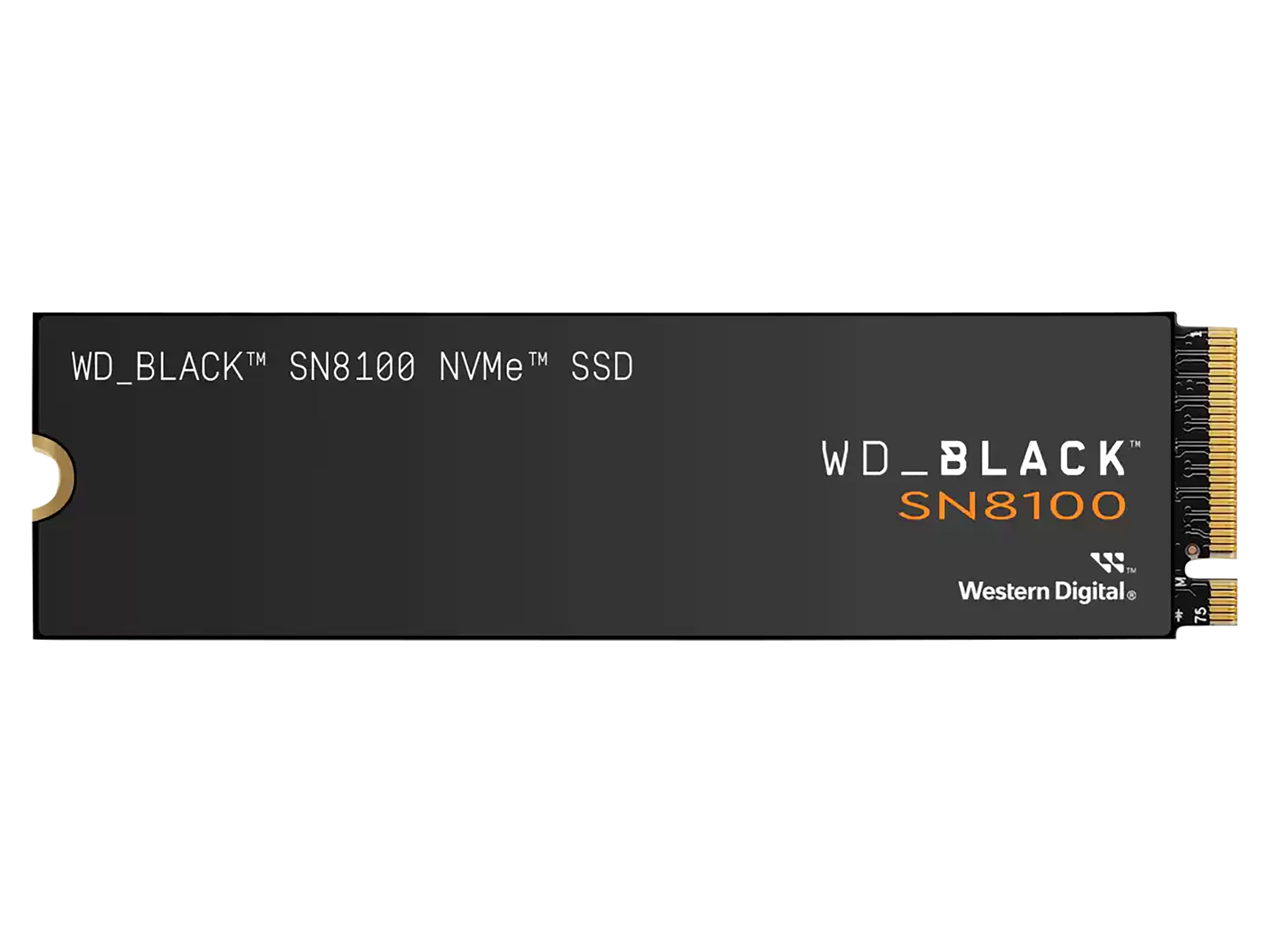 WD M.2 SSD Black SN8100 1TB