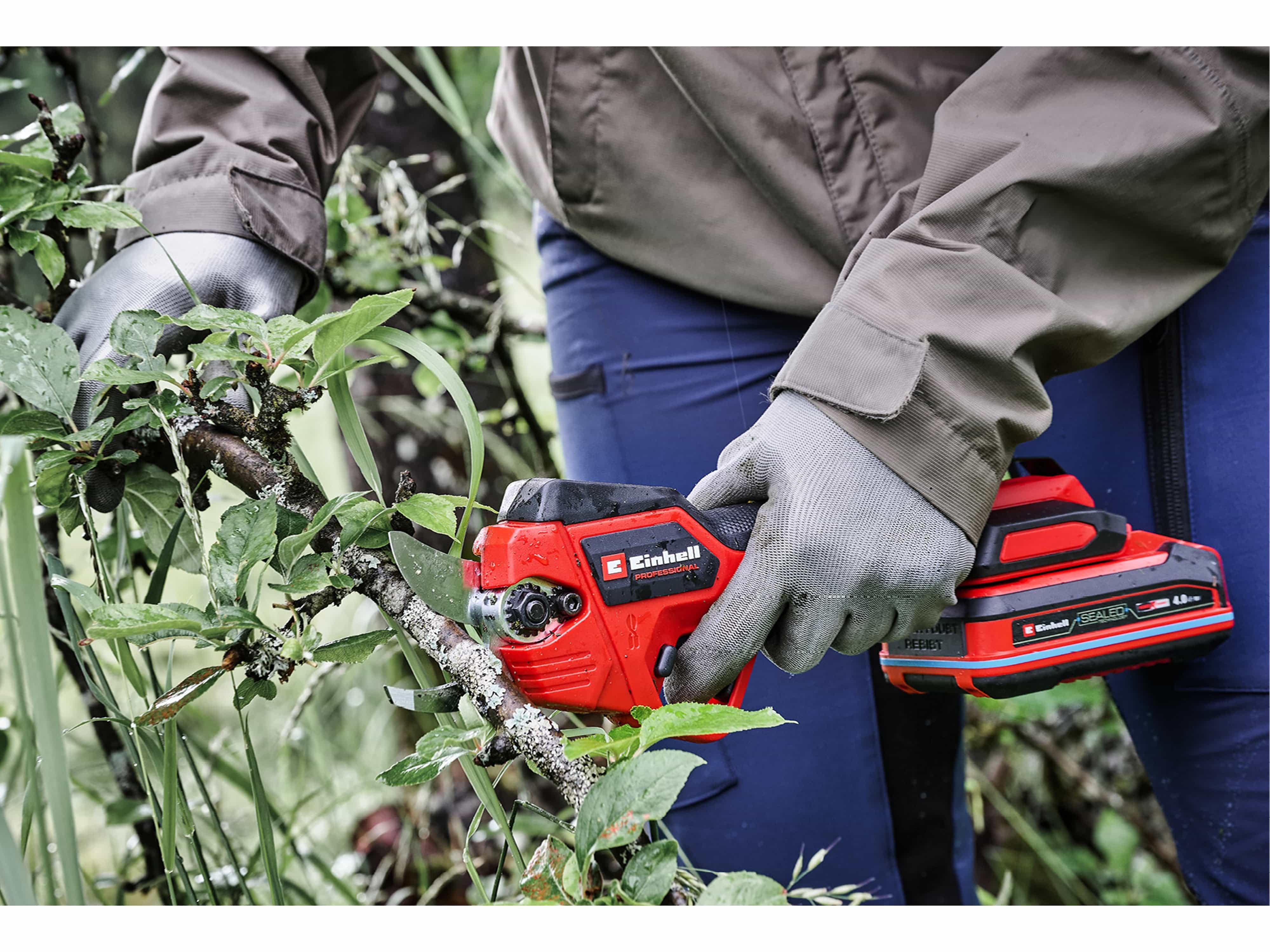 EINHELL PROFESSIONAL Akku-Astschere GP-LS 18/28 Li BL, Solo EINHELL PROFESSIONAL Akku-Astschere GP-LS 18/28 Li BL, Solo