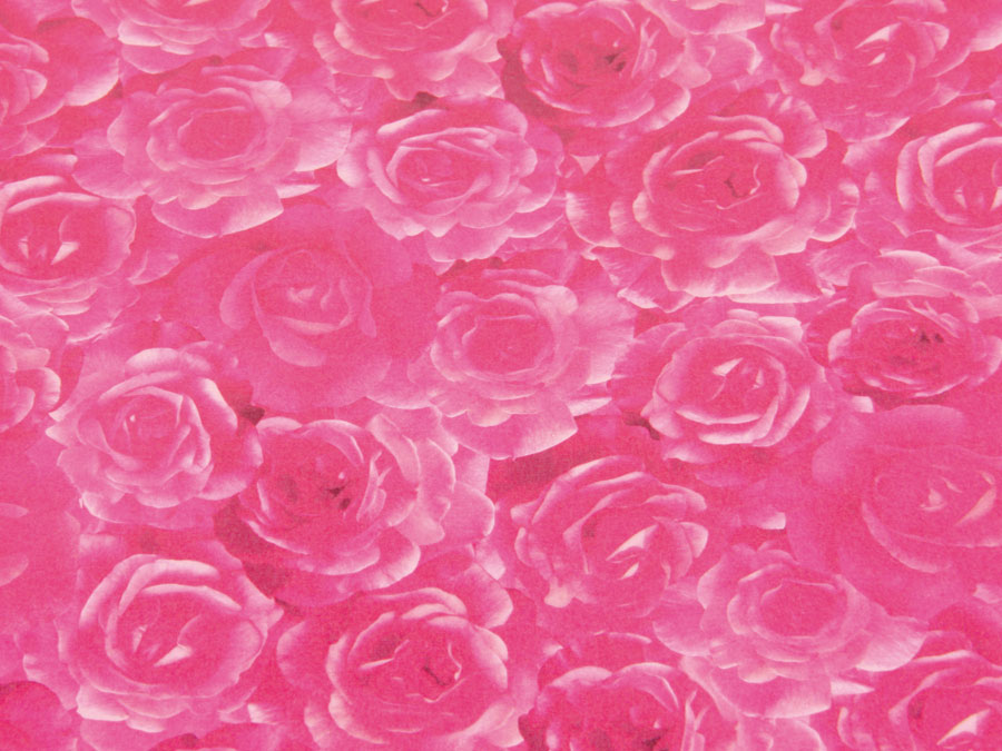 HEYDA Transparentpapier 20-4879452, Rosen rot Transparentpapier HEYDA 20-4879452, Rosen rot