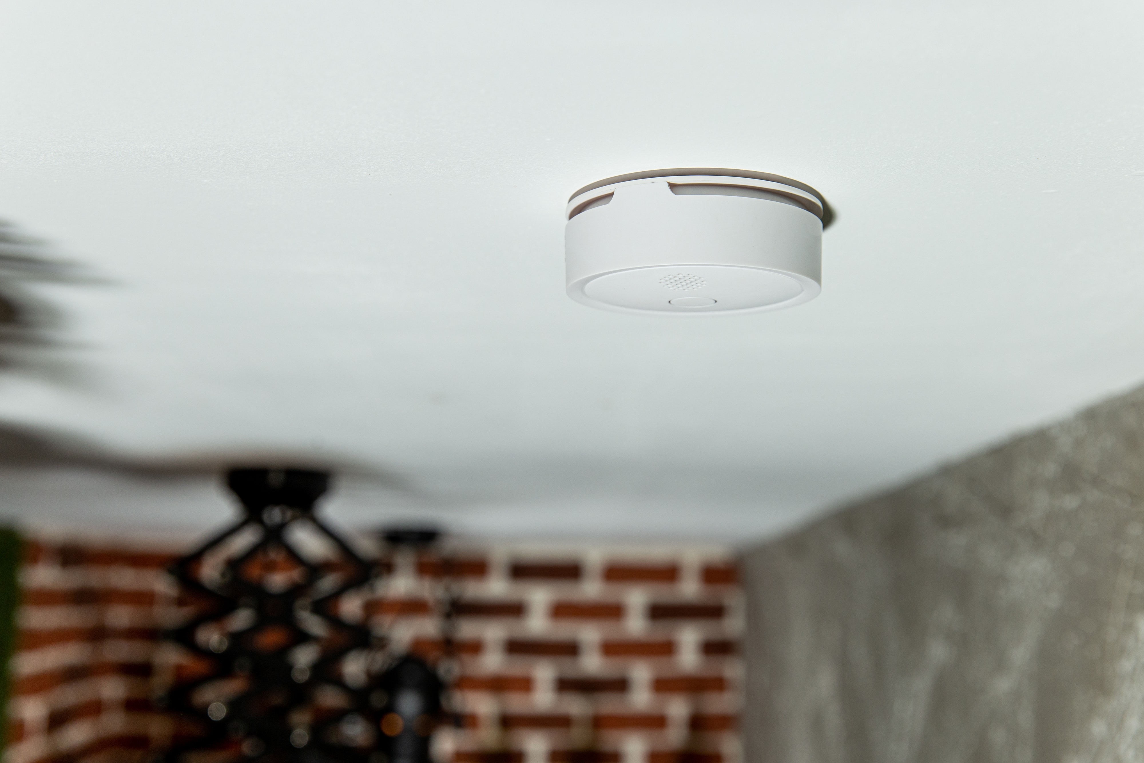 SHELLY WLAN Rauchmelder Plus Smoke, Plug&Play SHELLY WLAN Rauchmelder Plus Smoke, Plug&Play