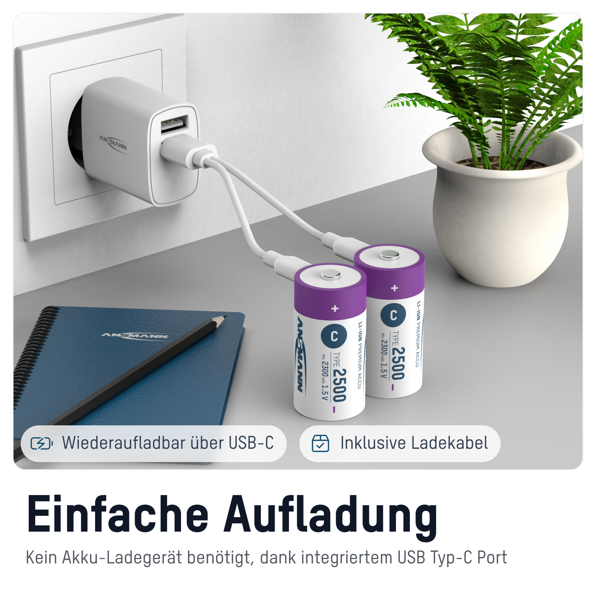 ANSMANN Li-Ion Baby-C-Akku, Typ 2500 (min. 2300mAh), 2 Stück ANSMANN Li-Ion Baby-C-Akku, Typ 2500 (min. 2300mAh), 2 Stück