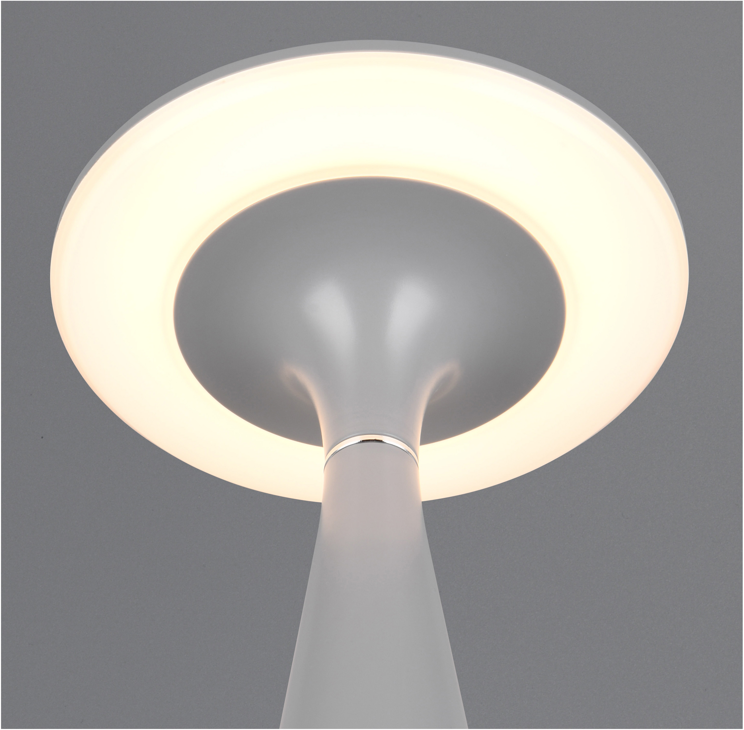 REALITY LED-Akku-Tischleuchte TORREZ, R57726177, grau, IP 44, 2 W, 180 lm REALITY LED-Akku-Tischleuchte TORREZ, R57726177, grau, IP 44, 2 W, 180 lm