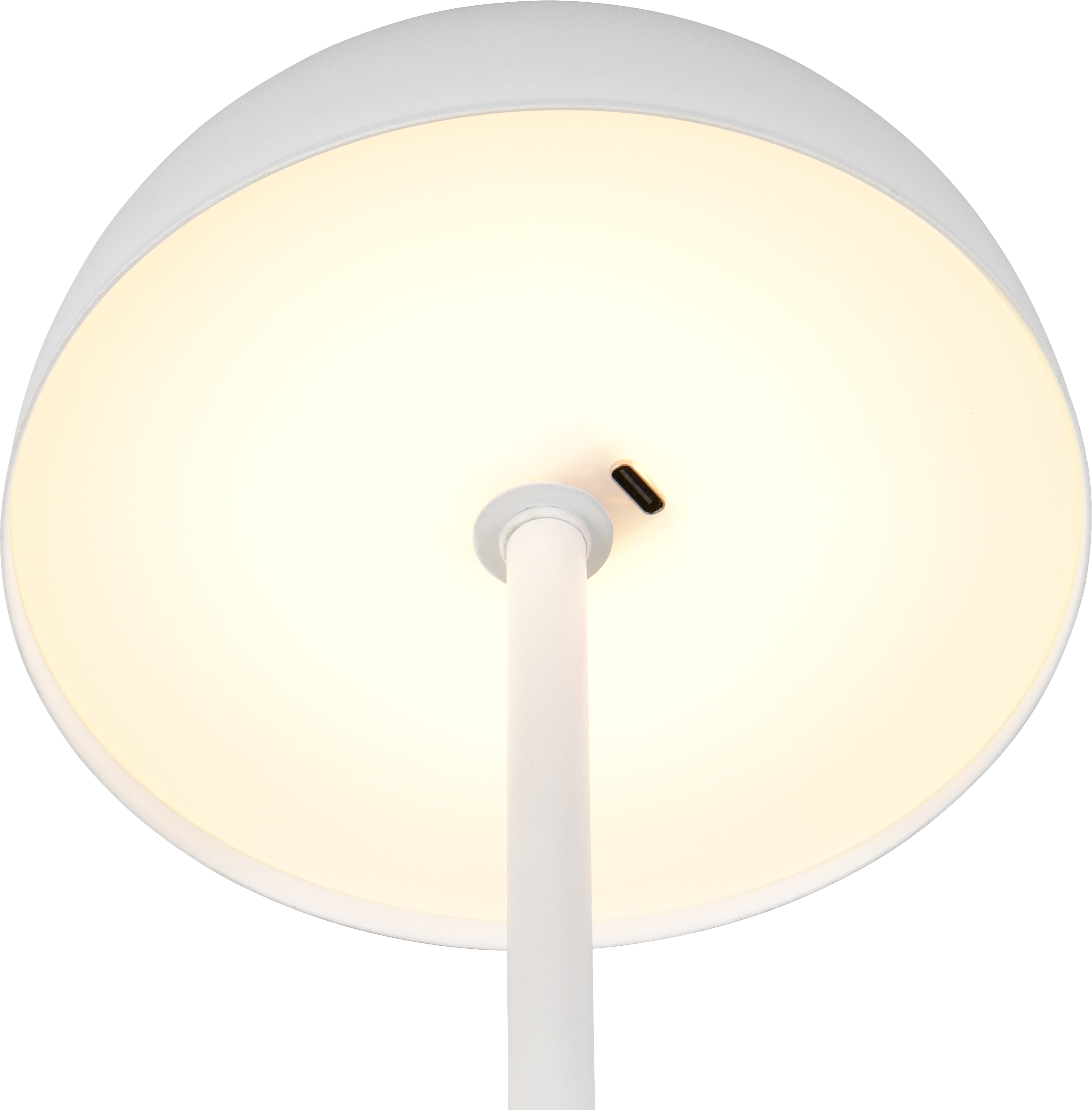 REALITY LED-Akku-Tischleuchte MUNOZ, R54891131, 1,3W, 120lm, 3000K, weiß REALITY LED-Akku-Tischleuchte MUNOZ, R54891131, 1,3W, 120lm, 3000K, weiß