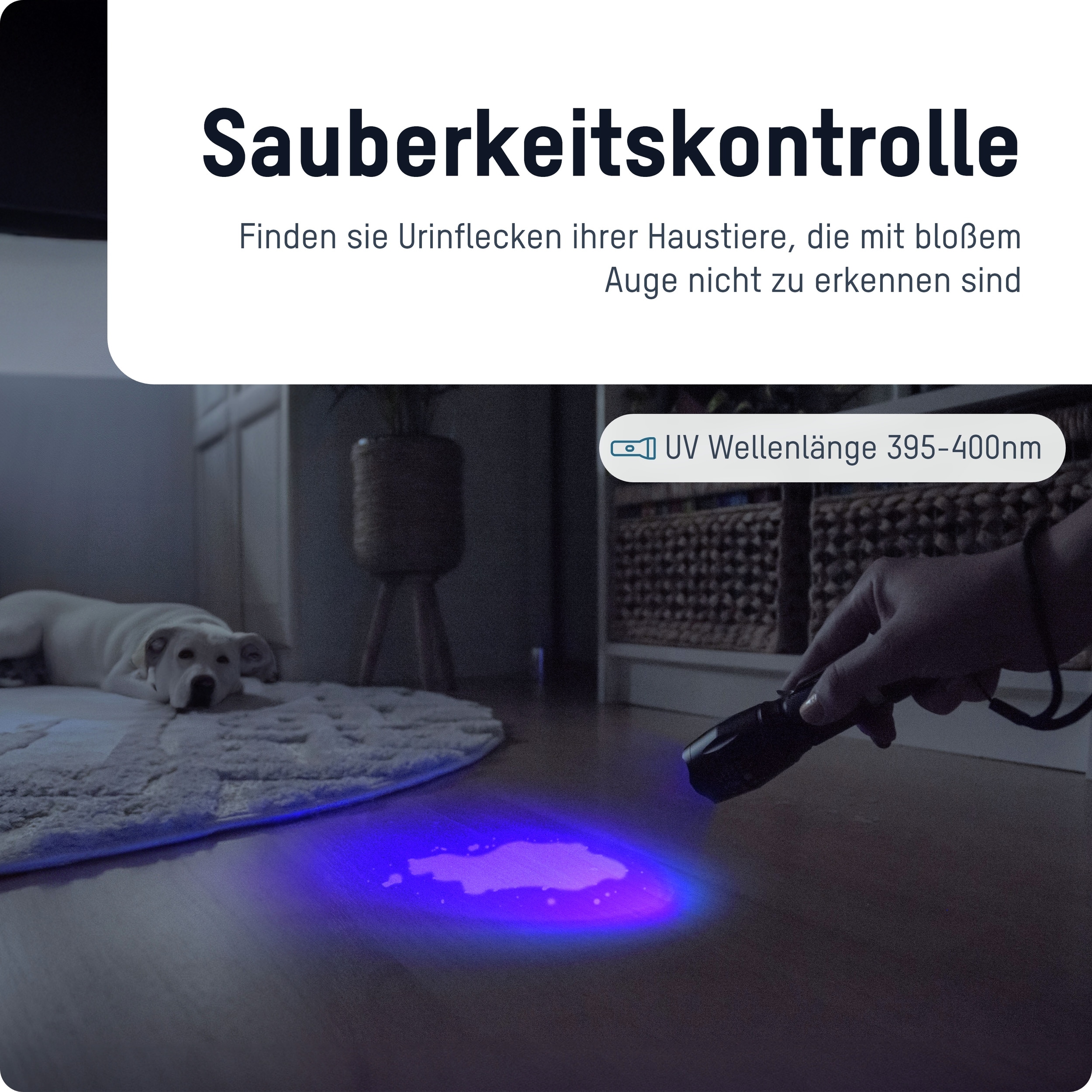 ANSMANN LED-Taschenlampe Action 400 UV, batteriebetrieben, schwarz ANSMANN LED-Taschenlampe Action 400 UV, batteriebetrieben, schwarz