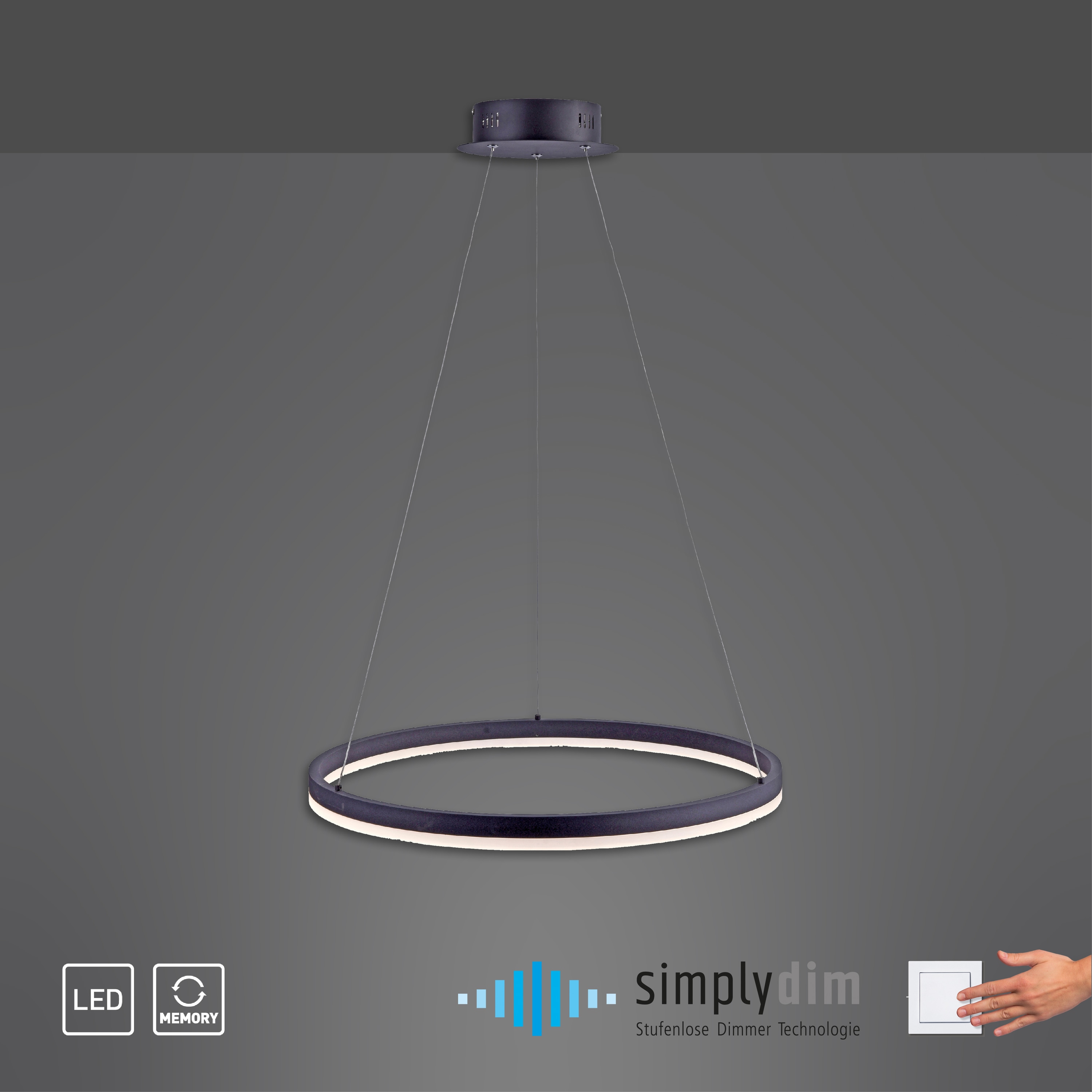PAUL NEUHAUS LED-Pendelleuchte 2382-13 anthrazit, 38,5 W, 5250 lm, 3000 K PAUL NEUHAUS LED-Pendelleuchte 2382-13 anthrazit, 38,5 W, 5250 lm, 3000 K