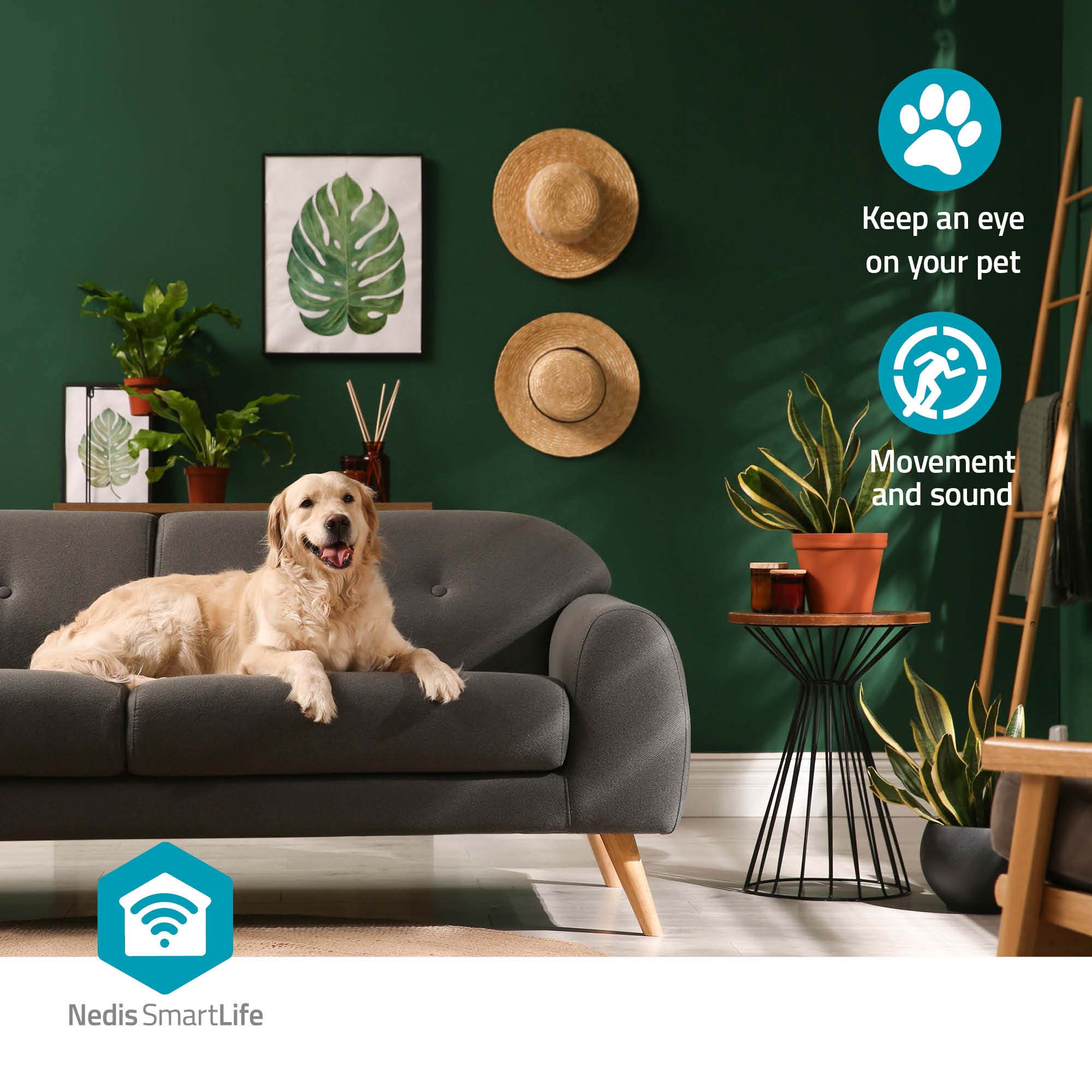 NEDIS Überwachungskamera SmartLife, WIFICI22CBK, Innen, Wi-Fi, schwarz