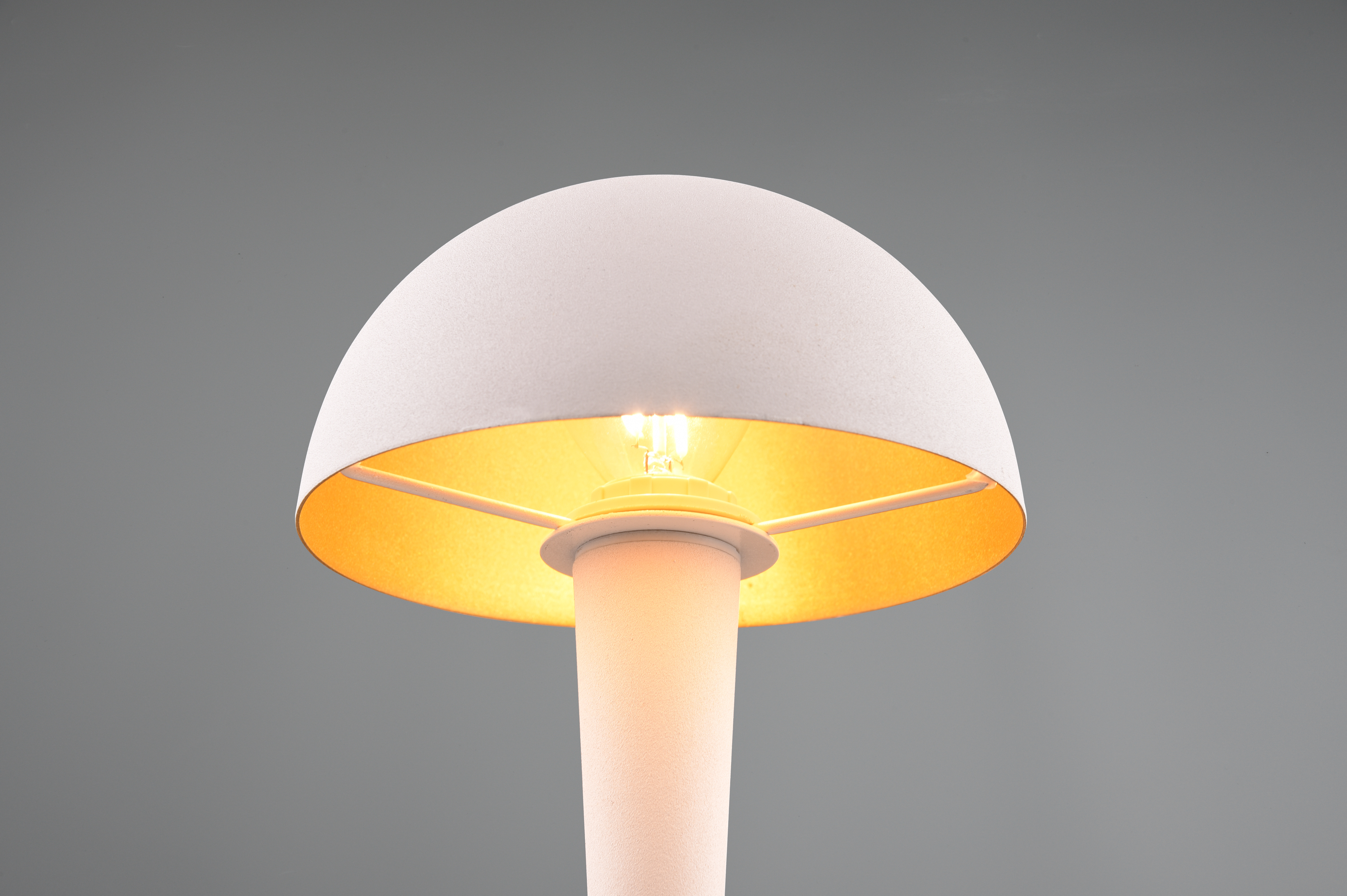 REALITY LED-Tischleuchte Canaria R59561131 weiß, E14, 4,9 W, 470 lm, 3000 K REALITY LED-Tischleuchte Canaria R59561131 weiß, E14, 4,9 W, 470 lm, 3000 K