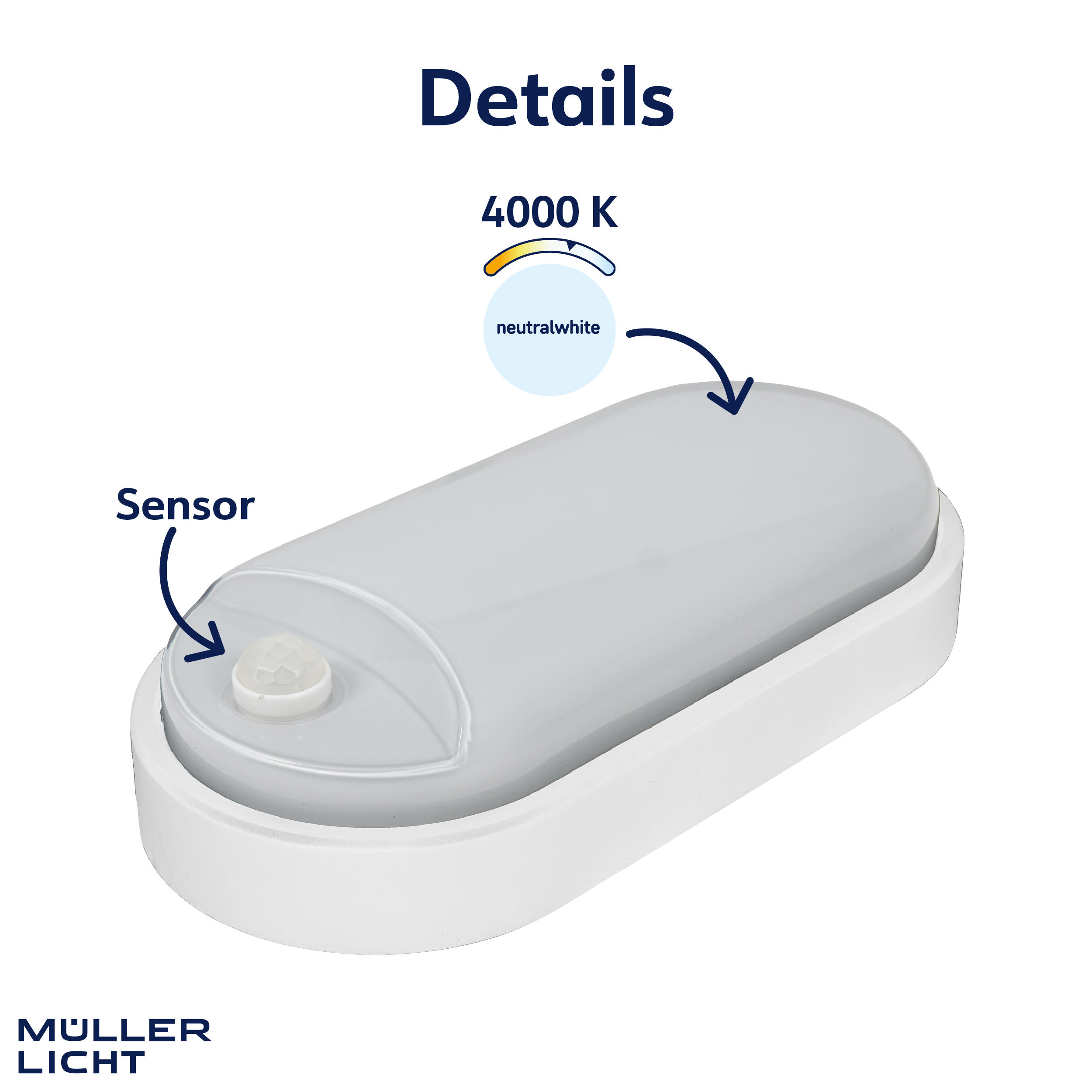 MÜLLER-LICHT LED-Wand- und Deckenleuchte 20300538, 9W, 650 lm, 4000K, IP54, Bewegungsmelder, oval MÜLLER-LICHT LED-Wand- und Deckenleuchte 20300538, 9W, 650 lm, 4000K, IP54, Bewegungsmelder, oval