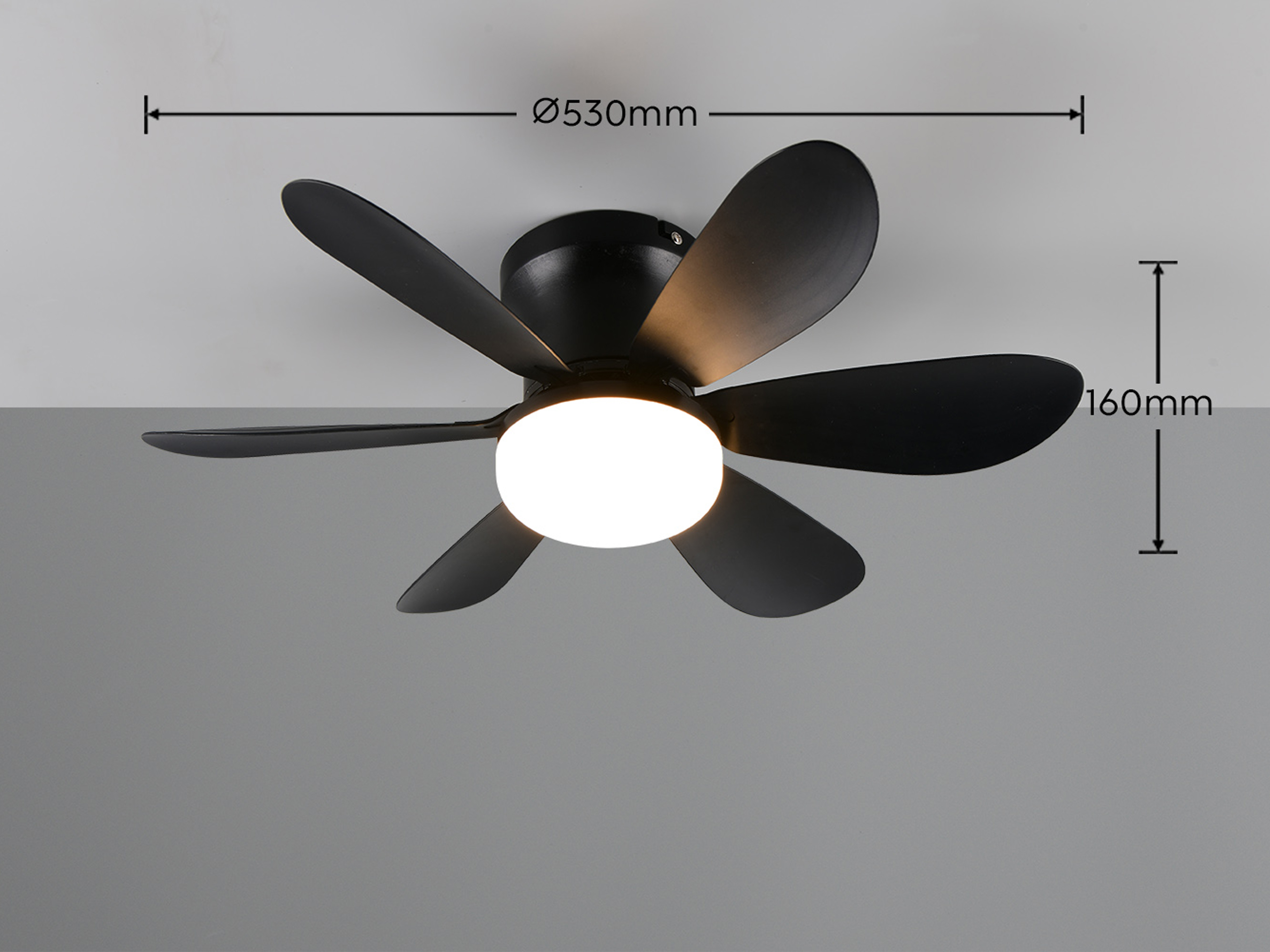REALITY LED-Deckenleuchte mit Ventilator Lund R67462132, 20W, 2700... 6500K, 850lm, CCT, IP20, schwarz REALITY LED-Deckenleuchte mit Ventilator Lund R67462132, 20W, 2700... 6500K, 850lm, CCT, IP20, schwarz