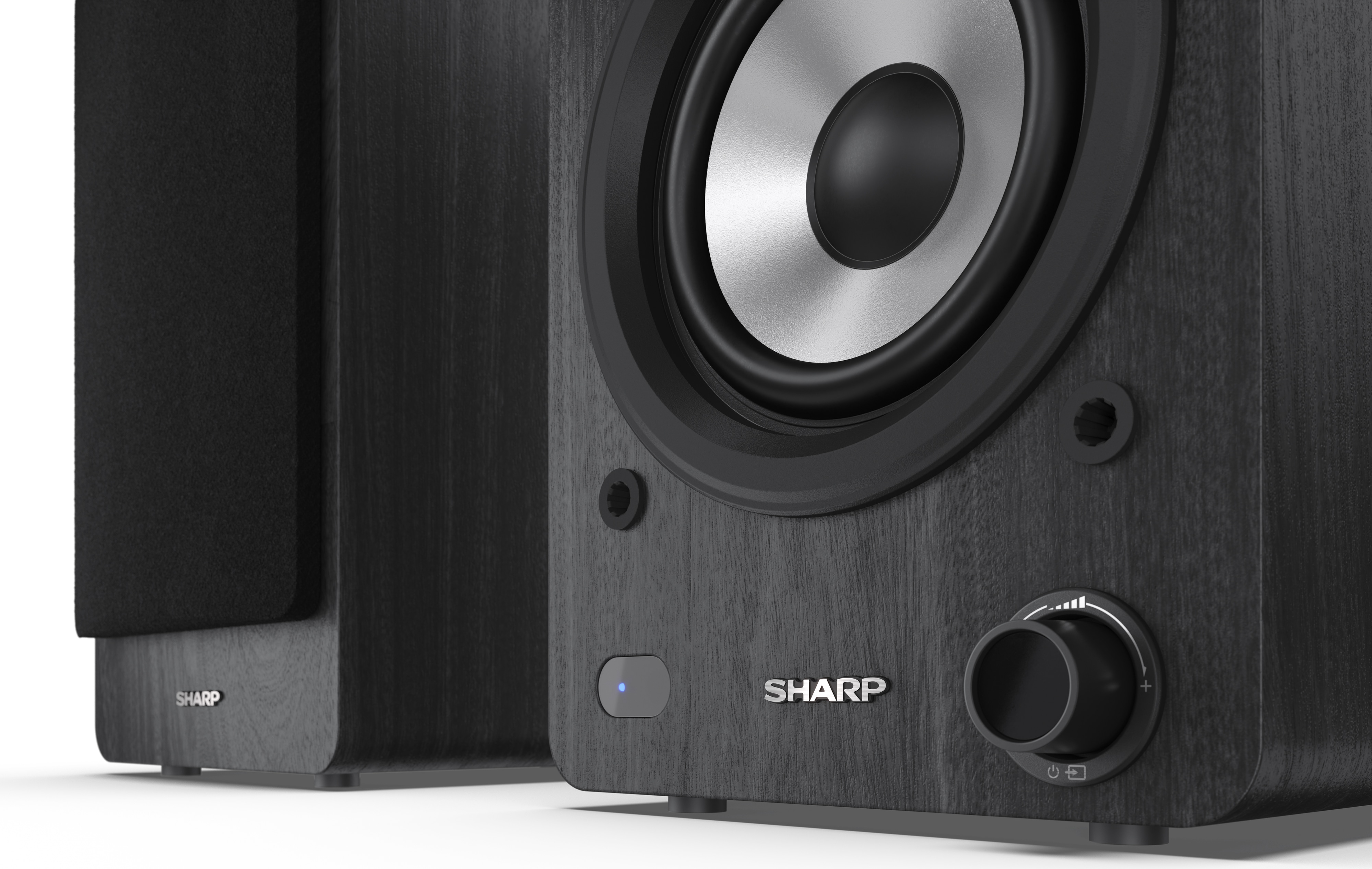 SHARP Lautsprecherboxen CP-SS30 (BK), 2-Wege, Bluetooth, USB, MP3, 60 W