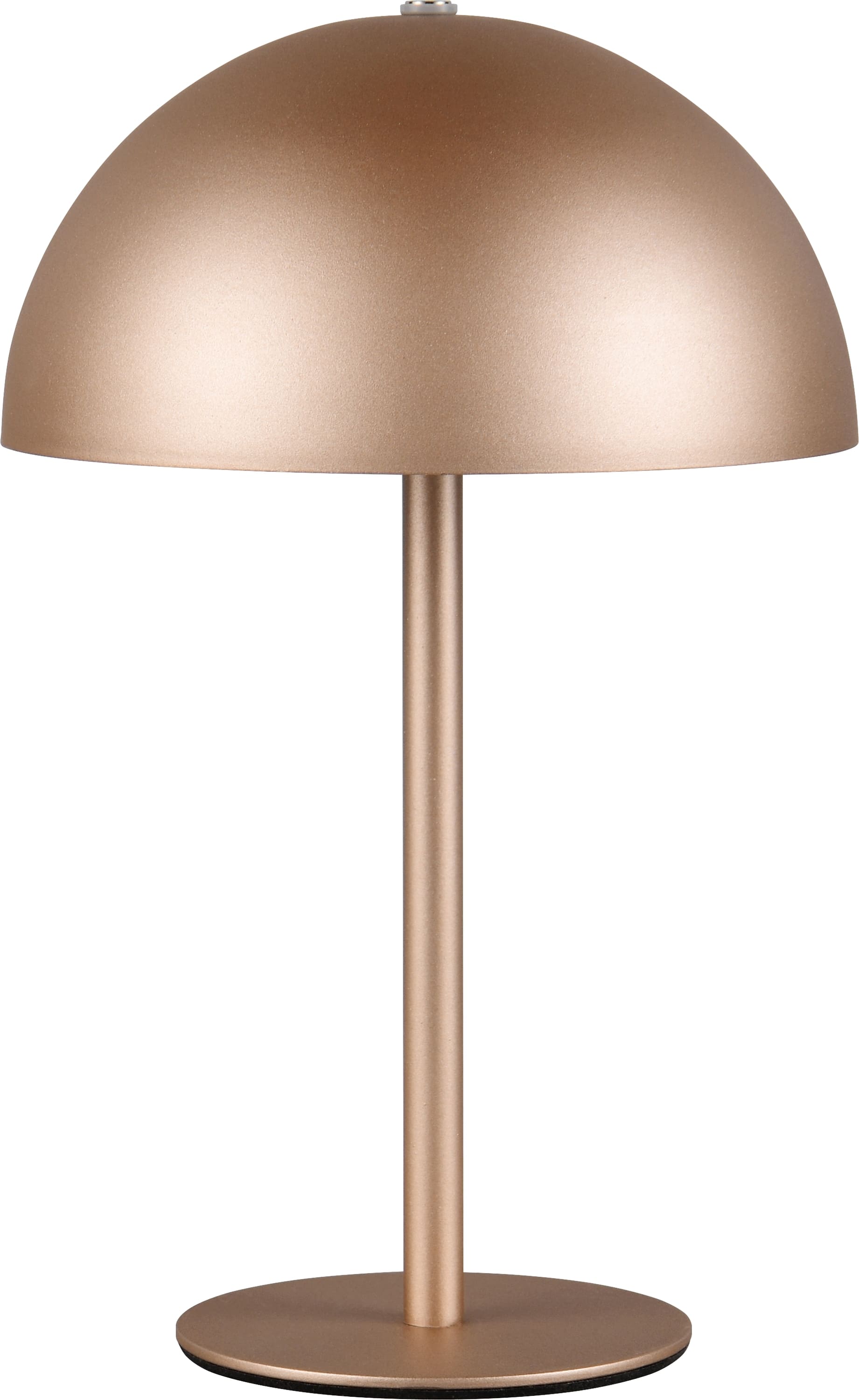REALITY LED-Akku-Tischleuchte MUNOZ, R54891165, 1,3W, 120lm, 3000K, coffee REALITY LED-Akku-Tischleuchte MUNOZ, R54891165, 1,3W, 120lm, 3000K, coffee