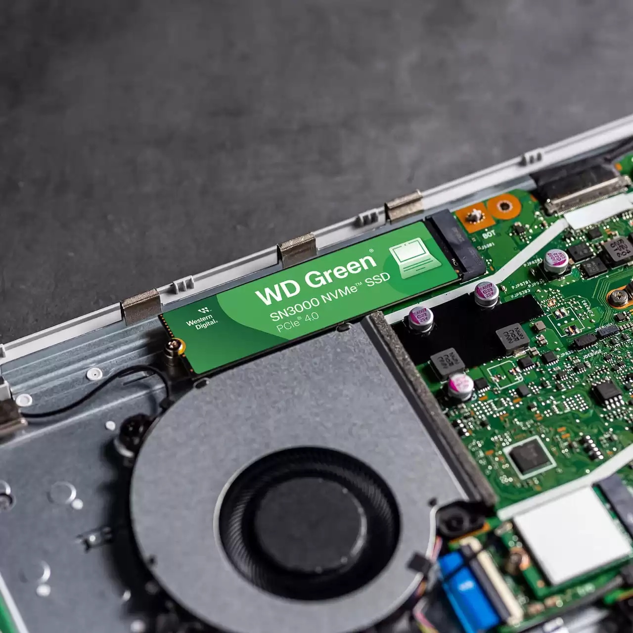 WESTERN DIGITAL M.2 SSD Green SN3000 500GB WD M.2 SSD Green SN3000 500GB