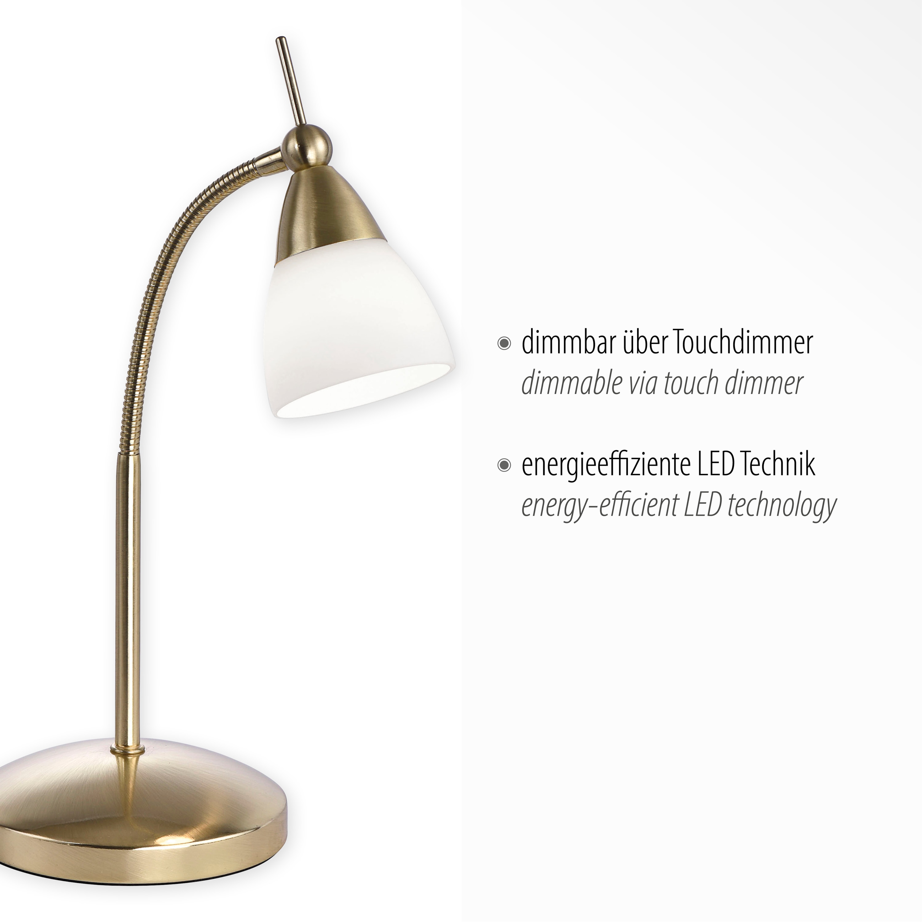 PAUL NEUHAUS LED-Tischleuchte 4001-60 messing-matt, 2,6 W, 265 lm, 3000 K PAUL NEUHAUS LED-Tischleuchte 4001-60 messing-matt, 2,6 W, 265 lm, 3000 K
