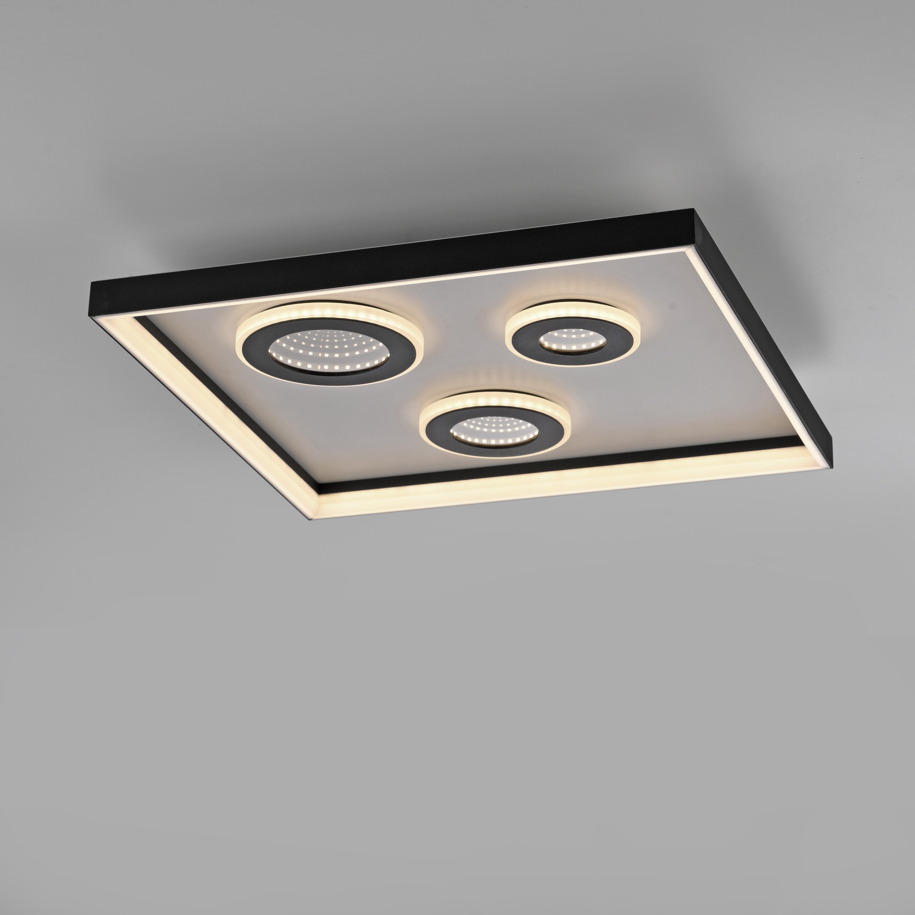 PAUL NEUHAUS LED-Deckenleuchte 6856-18 schwarz, 32 W, 4000 lm, CCT, Fernbedienung PAUL NEUHAUS LED-Deckenleuchte 6856-18 schwarz, 32 W, 4000 lm, CCT, Fernbedienung