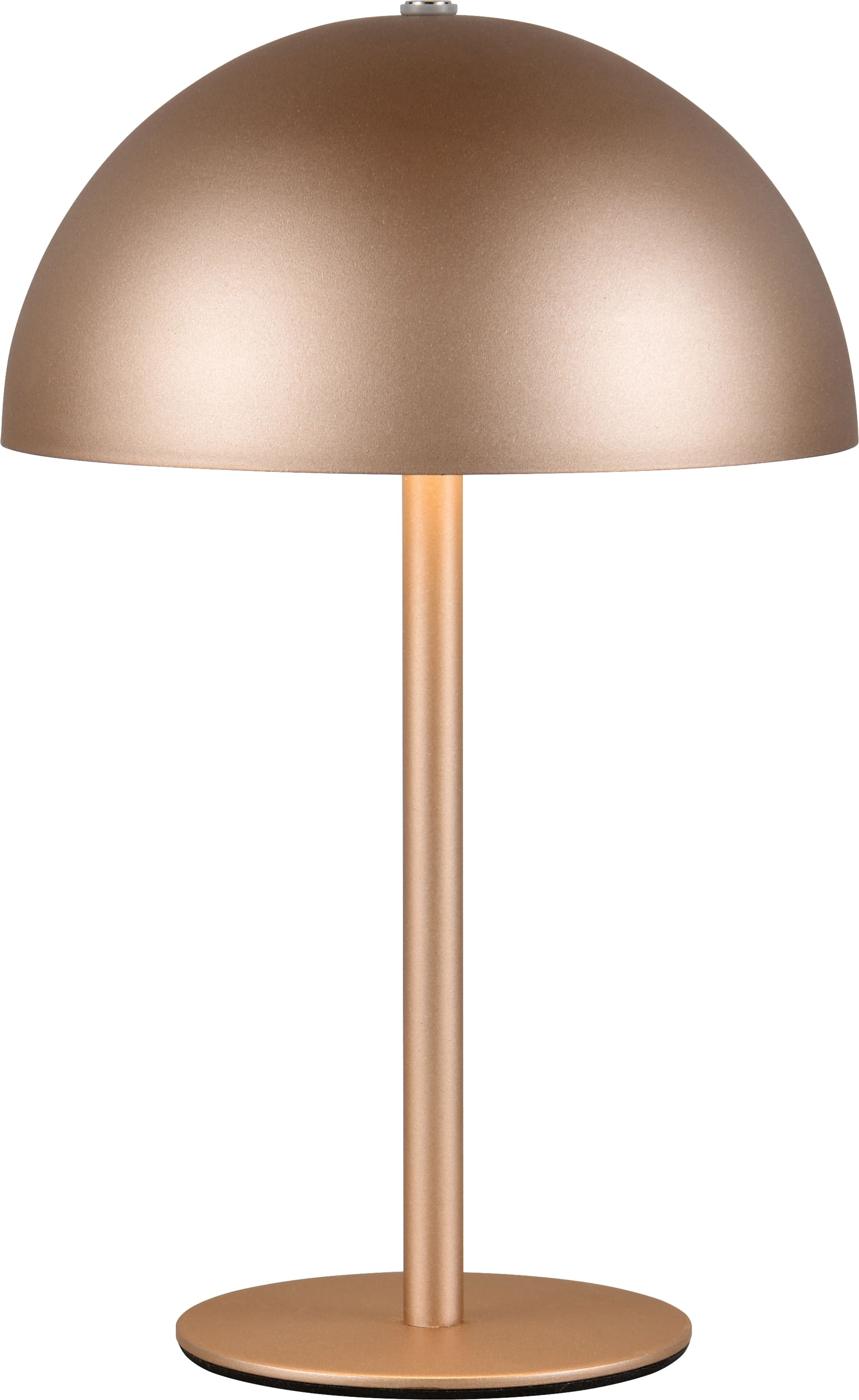 REALITY LED-Akku-Tischleuchte MUNOZ, R54891165, 1,3W, 120lm, 3000K, coffee REALITY LED-Akku-Tischleuchte MUNOZ, R54891165, 1,3W, 120lm, 3000K, coffee