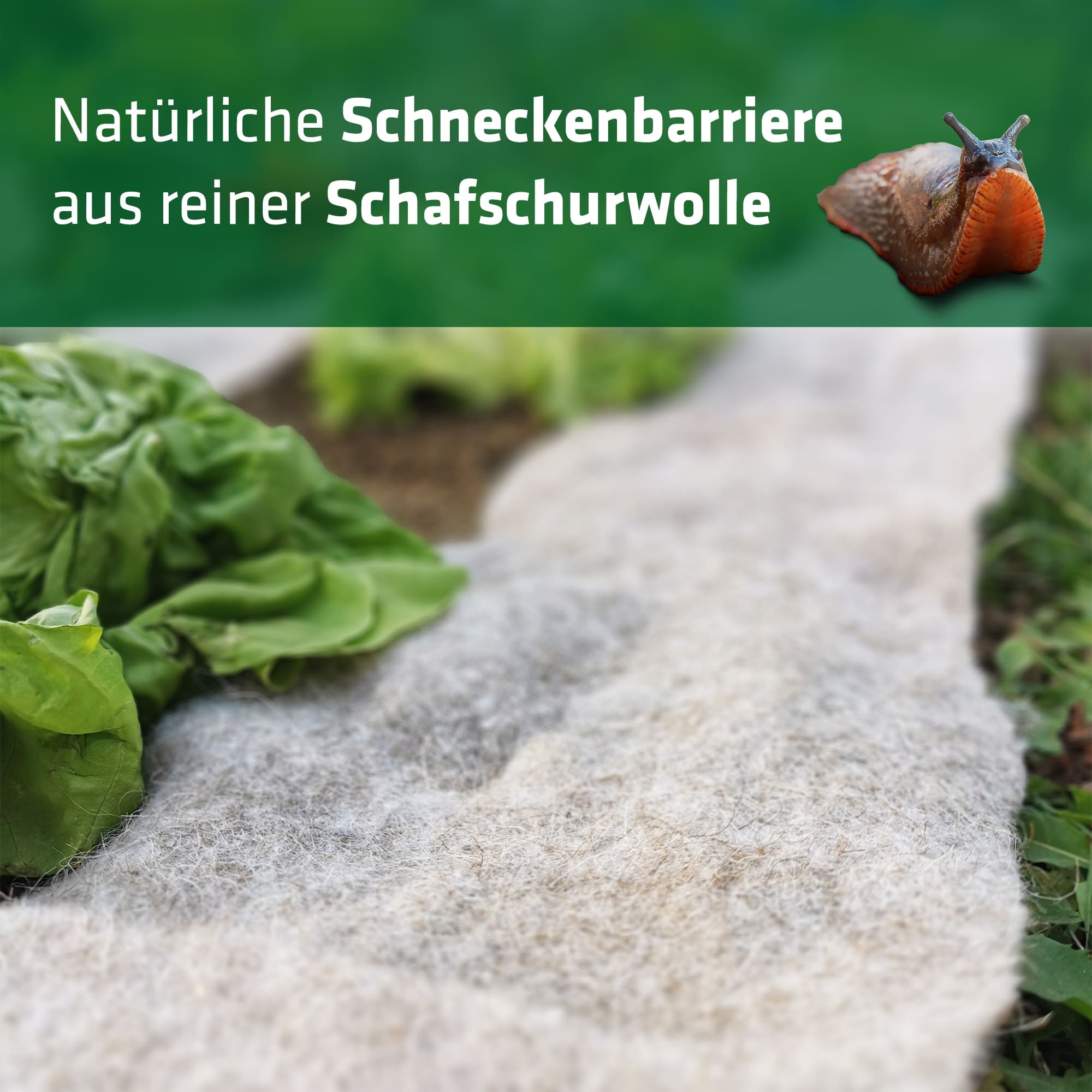 GARDIGO Schnecken-Stopp Vlies, 500x10 cm GARDIGO Schnecken-Stopp Vlies, 500x10 cm