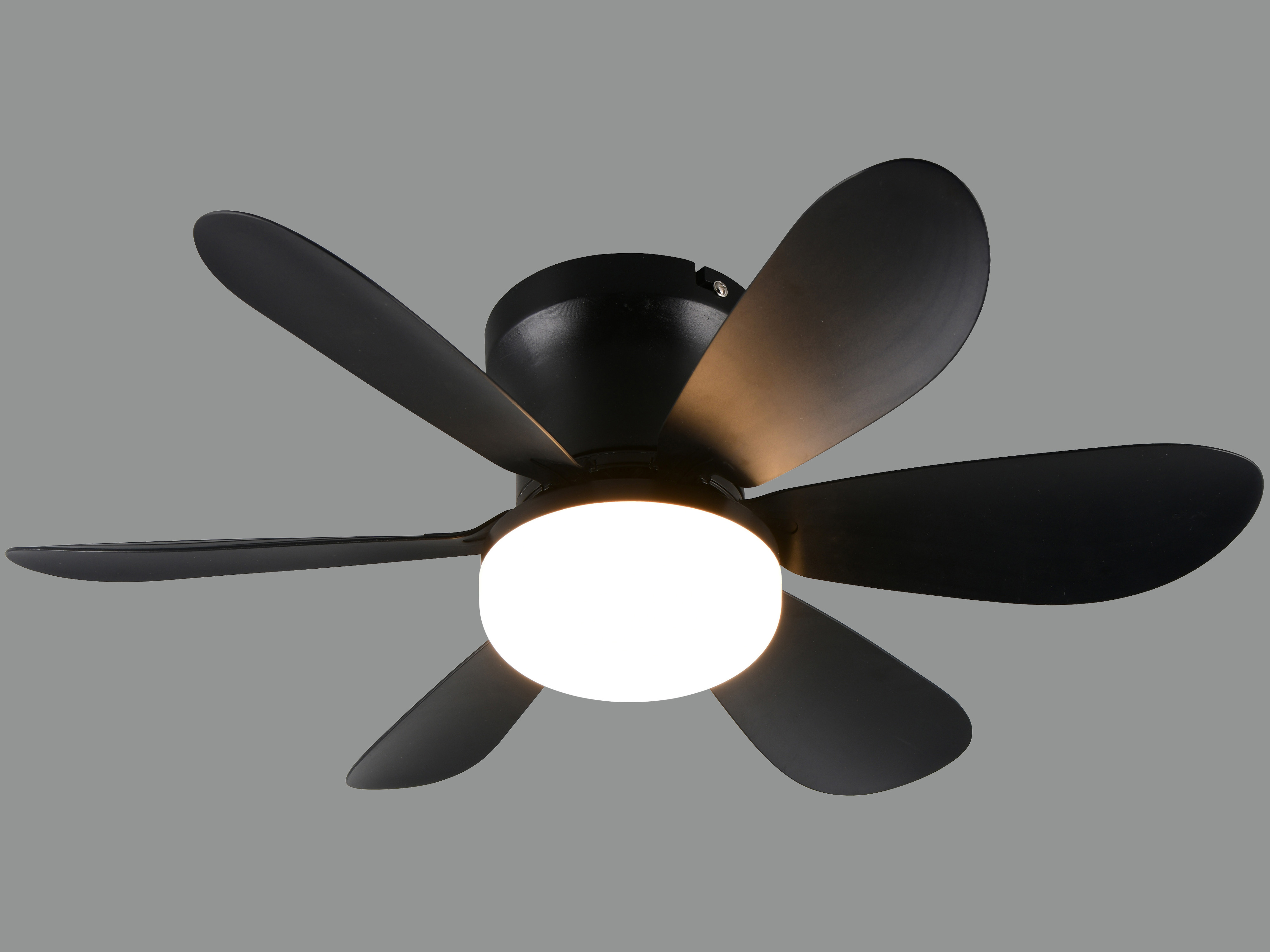 REALITY LED-Deckenleuchte mit Ventilator Lund R67462132, 20W, 2700... 6500K, 850lm, CCT, IP20, schwarz REALITY LED-Deckenleuchte mit Ventilator Lund R67462132, 20W, 2700... 6500K, 850lm, CCT, IP20, schwarz